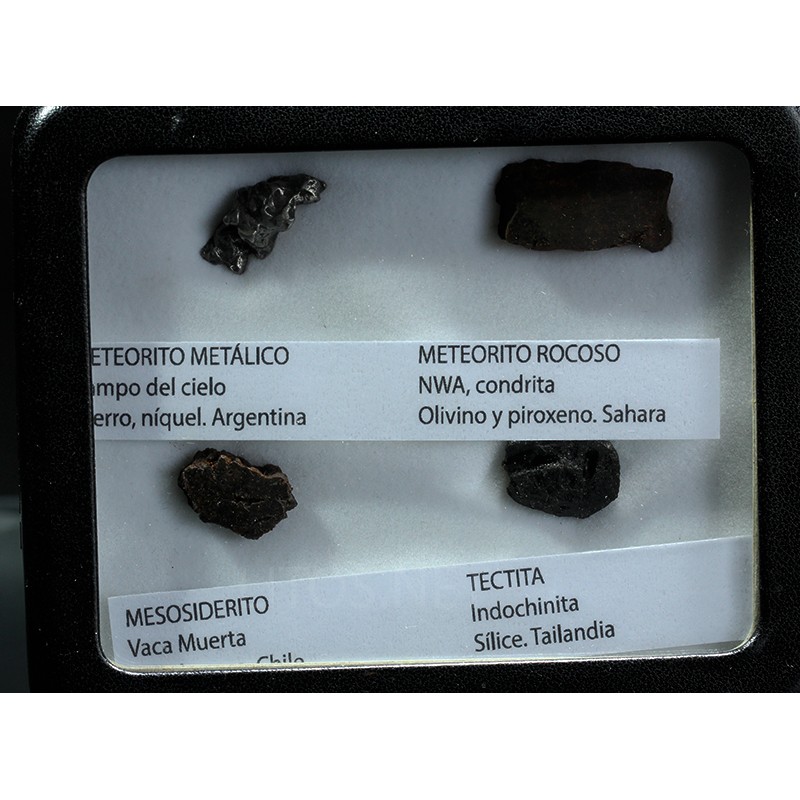 Colección de meteoritos y tectita