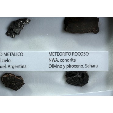 Colección de meteoritos y tectita