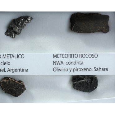 Colección de meteoritos y tectita