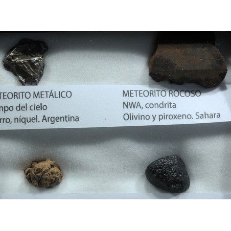 Colección de meteoritos y tectita