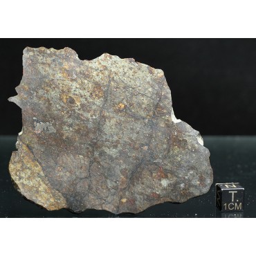 Meteorito NWA