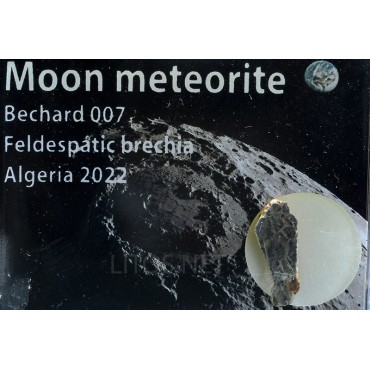 Meteorito lunar, Bechar 007