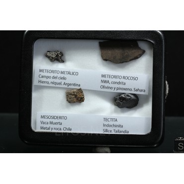 Colección de meteoritos y tectita