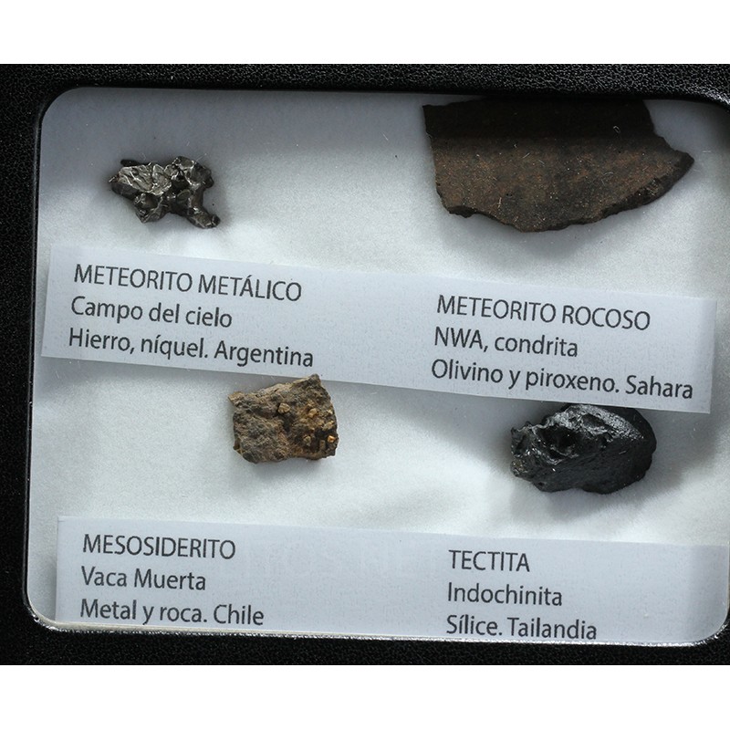 Colección de meteoritos y tectita