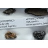 Colección de meteoritos y tectita