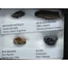 Colección de meteoritos y tectita