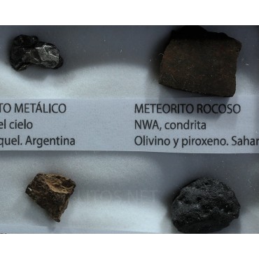 Colección de meteoritos y tectita