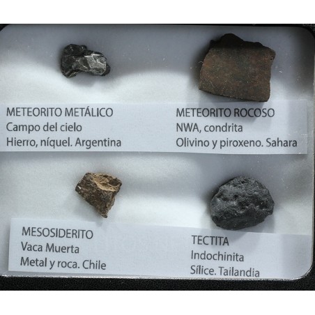 Colección de meteoritos y tectita