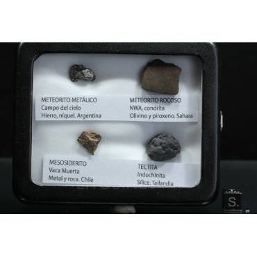 Colección de meteoritos y tectita