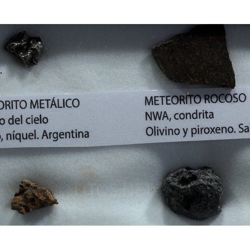 Colección de meteoritos y tectita