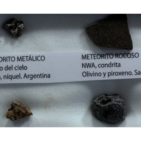 Colección de meteoritos y tectita