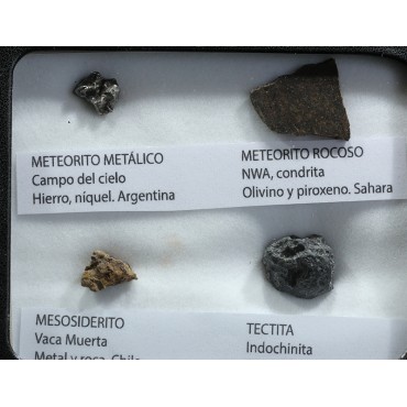 Colección de meteoritos y tectita