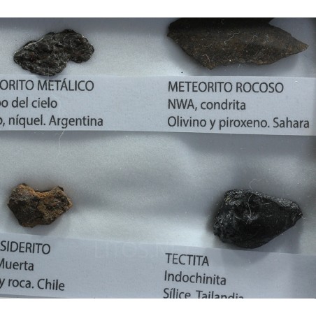 Colección de meteoritos y tectita