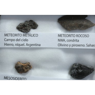 Colección de meteoritos y tectita