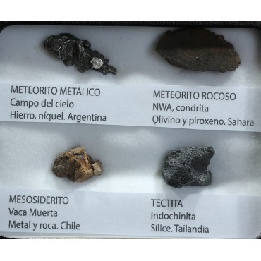 Colección de meteoritos y tectita