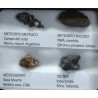 Colección de meteoritos y tectita