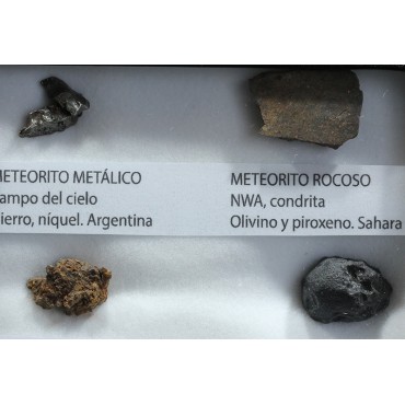 Colección de meteoritos y tectita