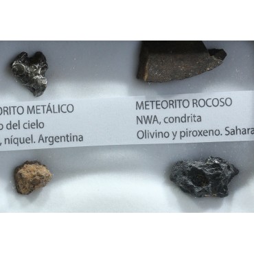 Colección de meteoritos y tectita