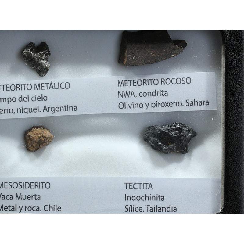 Colección de meteoritos y tectita