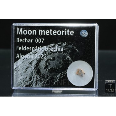 Meteorito lunar, Bechar 007