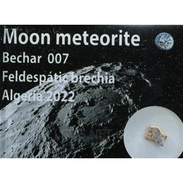 Meteorito lunar, Bechar 007