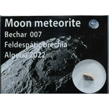 Meteorito lunar, Bechar 007