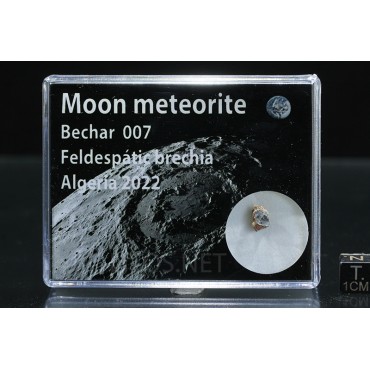 Meteorito lunar, Bechar 007