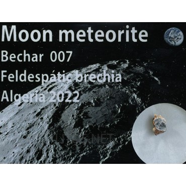 Meteorito lunar, Bechar 007