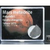 Meteorito de Marte, Amgala 001