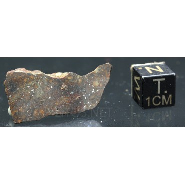 Meteorito NWA