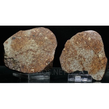 Meteorito NWA