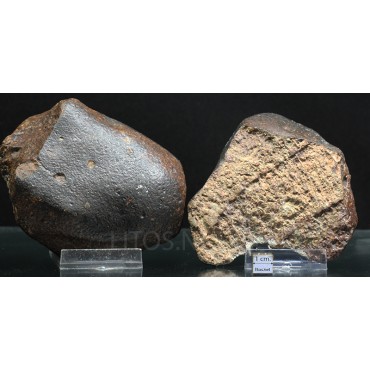 Meteorito NWA