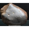 Meteorito NWA