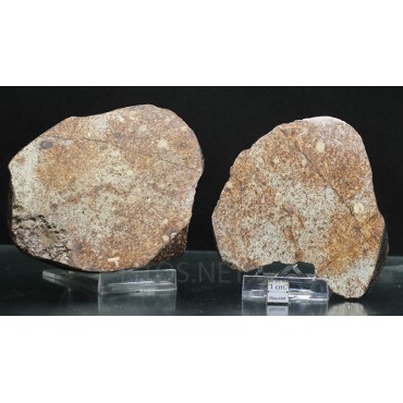 Meteorito NWA