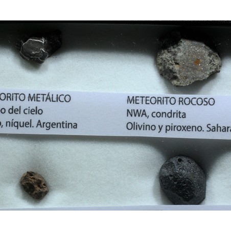 Colección de meteoritos y tectita