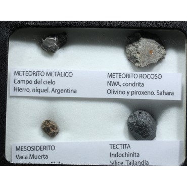 Colección de meteoritos y tectita