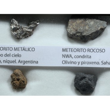 Colección de meteoritos y tectita