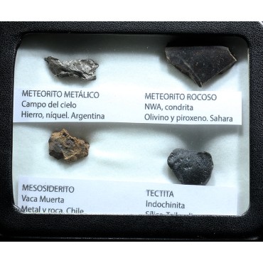 Colección de meteoritos y tectita