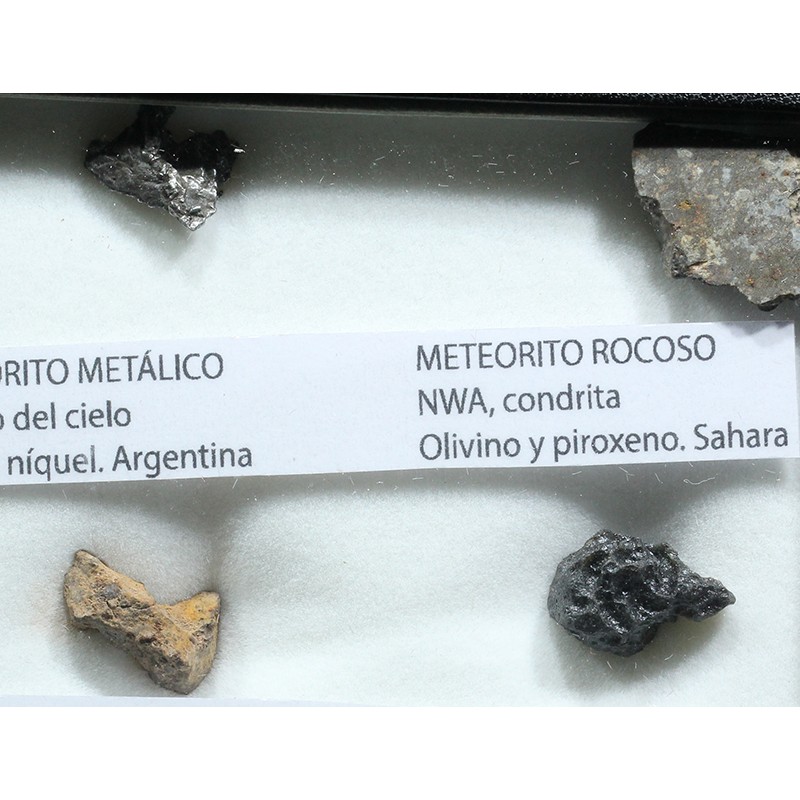 Colección de meteoritos y tectita