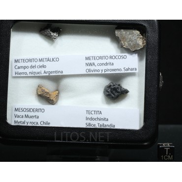 Colección de meteoritos y tectita