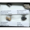 Colección de meteoritos y tectita