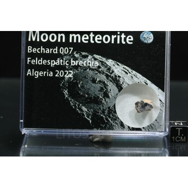 Meteorito lunar, Bechar 007