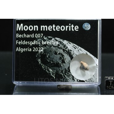 Meteorito lunar, Bechar 007