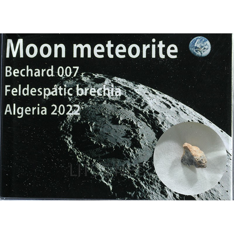 Meteorito lunar, Bechar 007