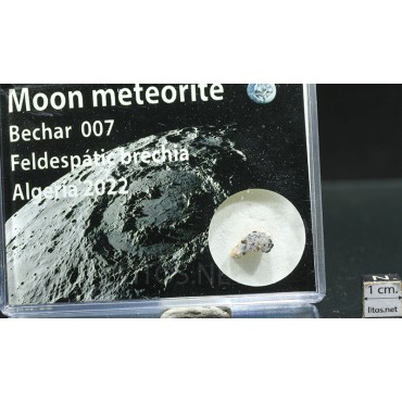 Meteorito lunar, Bechar 007