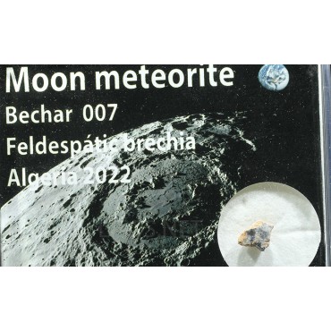 Meteorito lunar, Bechar 007