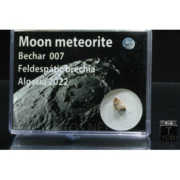 Meteorito lunar, Bechar 007