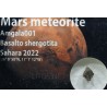 Meteorito de Marte, Amgala 001