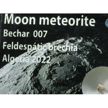 Meteorito lunar, Bechar 007