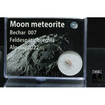 Meteorito lunar brecha de anortosita